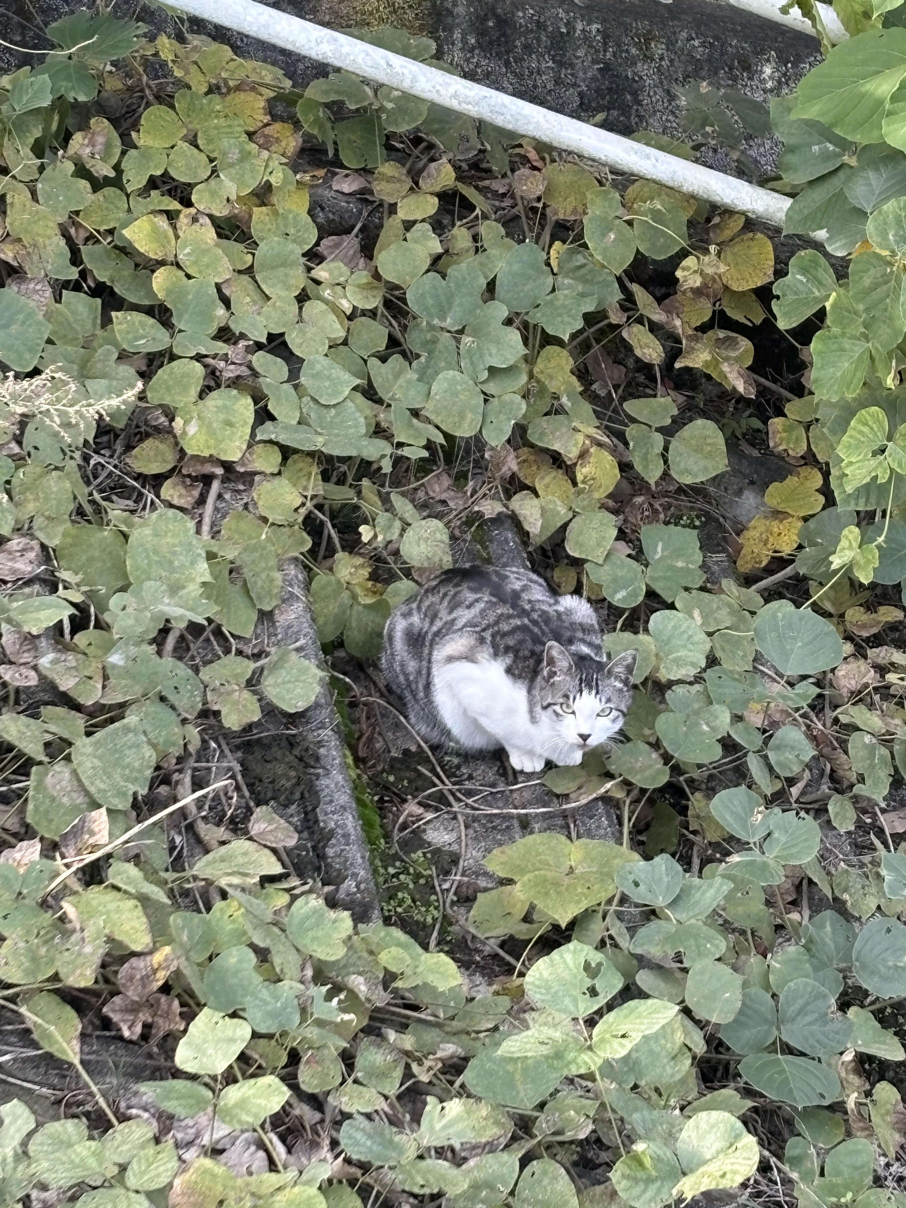 栄養もしっかり摂れているみたいで良き